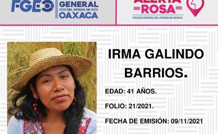 Lanzan Alerta Rosa para localizar a Irma Galindo, defensora del bosque en Atatlahuca, Oaxaca
