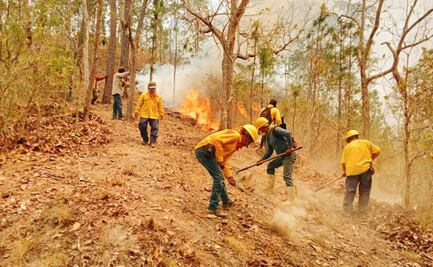 Comuneros de Oaxaca alertan que no existe plan para combatir incendios en Los Chimalapas