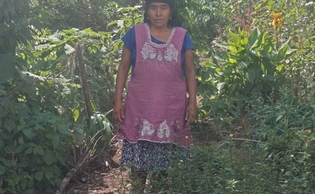 La mujer fue víctima de diversas violaciones a sus derechos humanos. Foto: Especial