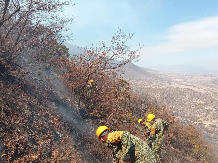 Suma 100 horas incendio forestal en Quiavaní; se combate en 2 frentes: gobierno de Oaxaca. Fotos: Especial