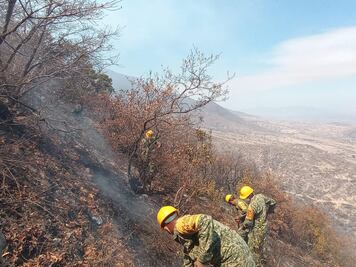 Suma 100 horas incendio forestal en Quiavaní; se combate en 2 frentes: gobierno de Oaxaca