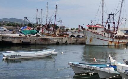 Camaroneros resisten “naufragio” de industria pesquera en Oaxaca: recortan apoyos por 623 mdp y vigilancia