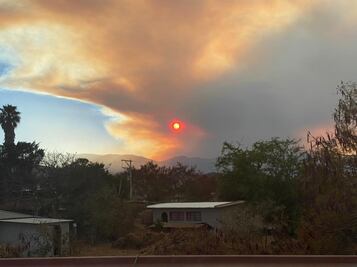Reportan controlado al 50% fuego en Santa María Peñoles; Oaxaca registró hoy 25 incendios forestales