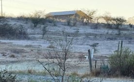 Heladas azotan zonas serranas de Oaxaca, reportan hasta -5° en la Mixteca y Sierra Norte