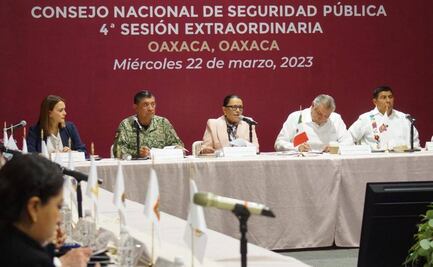 “Hay resultados en seguridad, el estratega es el propio Presidente”: Rosa Icela Rodríguez desde Oaxaca