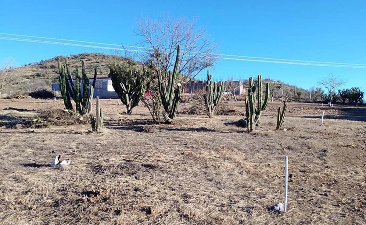 Crisis del agua en Oaxaca: se secan pozos en Huajolotitlán, “situación es crítica”