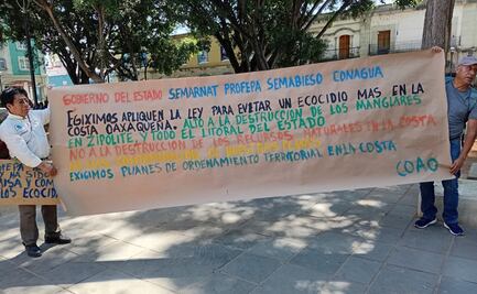 Manglares de la Costa de Oaxaca, en riesgo por desarrollo inmobiliario, advierten ambientalistas 