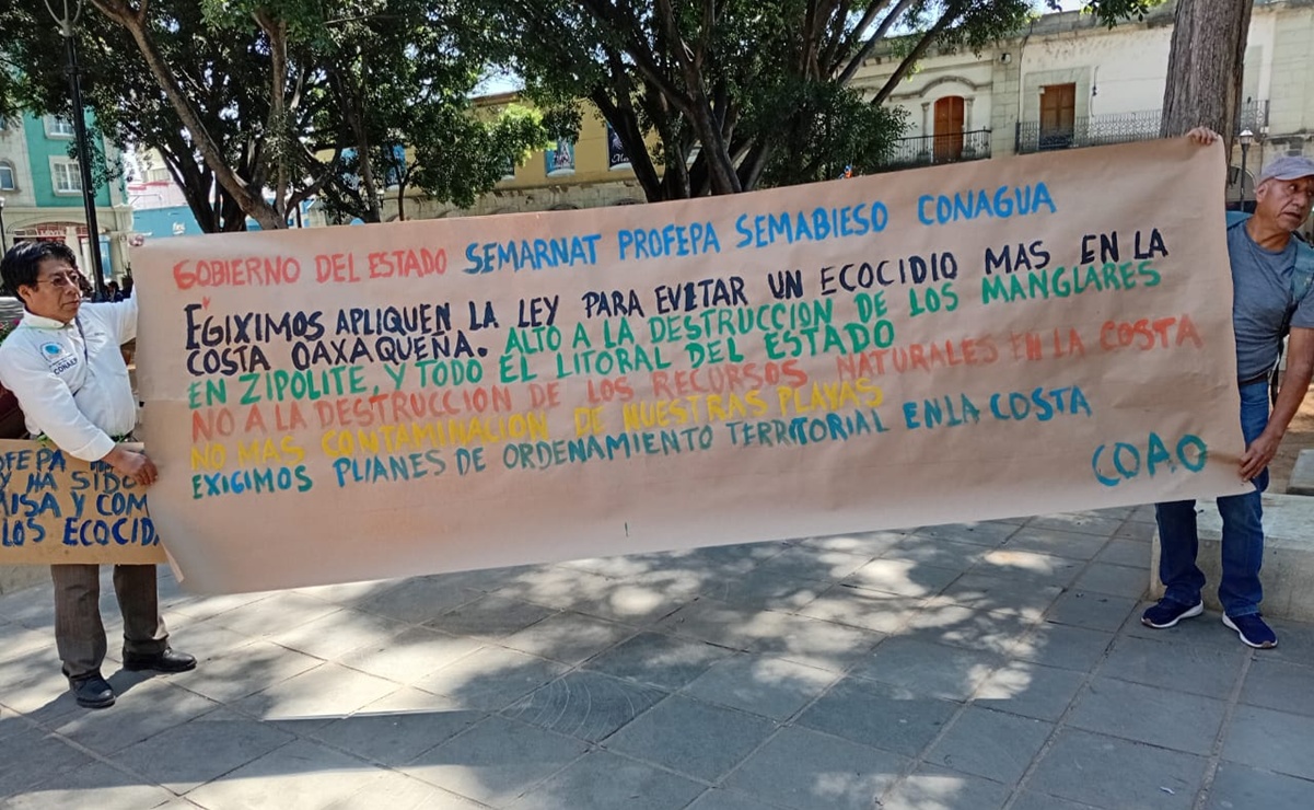 Manglares de la Costa de Oaxaca, en riesgo por desarrollo inmobiliario, advierten ambientalistas