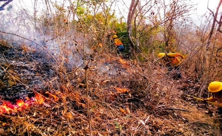 Tras 30 días logran apagar incendio en Los Chimalapas, Oaxaca 