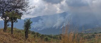 Reportan incendio en Tierra Blanca Copala, Oaxaca; hay cinco incendios activos 