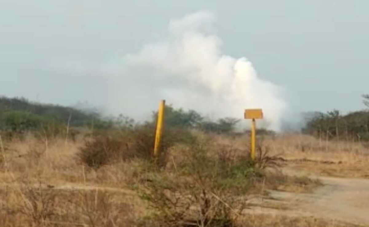 Los campesinos alertaron a las autoridades al observar una nube blanca entre la vegetación. Foto: Especial