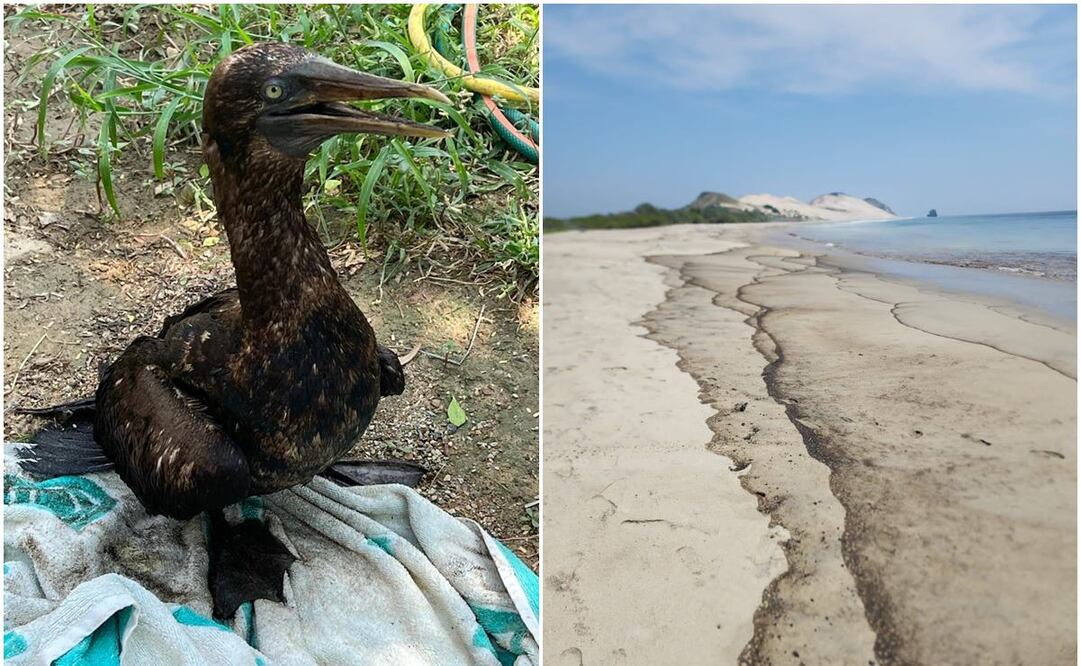 Escalan reclamos por derrame de Pemex en playas de Oaxaca; Semar inspecciona 4 días después. Foto: Roselia Chaca