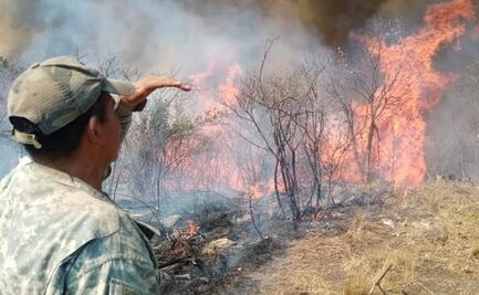 Cinco incendios consumen bosques de Oaxaca; van más de 2 mil hectáreas afectadas en 2023