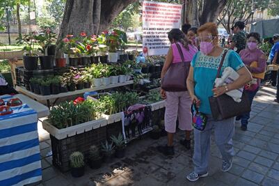 Suma Oaxaca 177 nuevos casos de Covid-19; acumula 17 mil 422 desde el inicio de la pandemia
