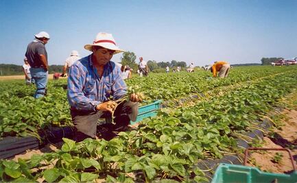 Congreso de Oaxaca “hace historia” al crear figura de diputado migrante; entrará como plurinominal