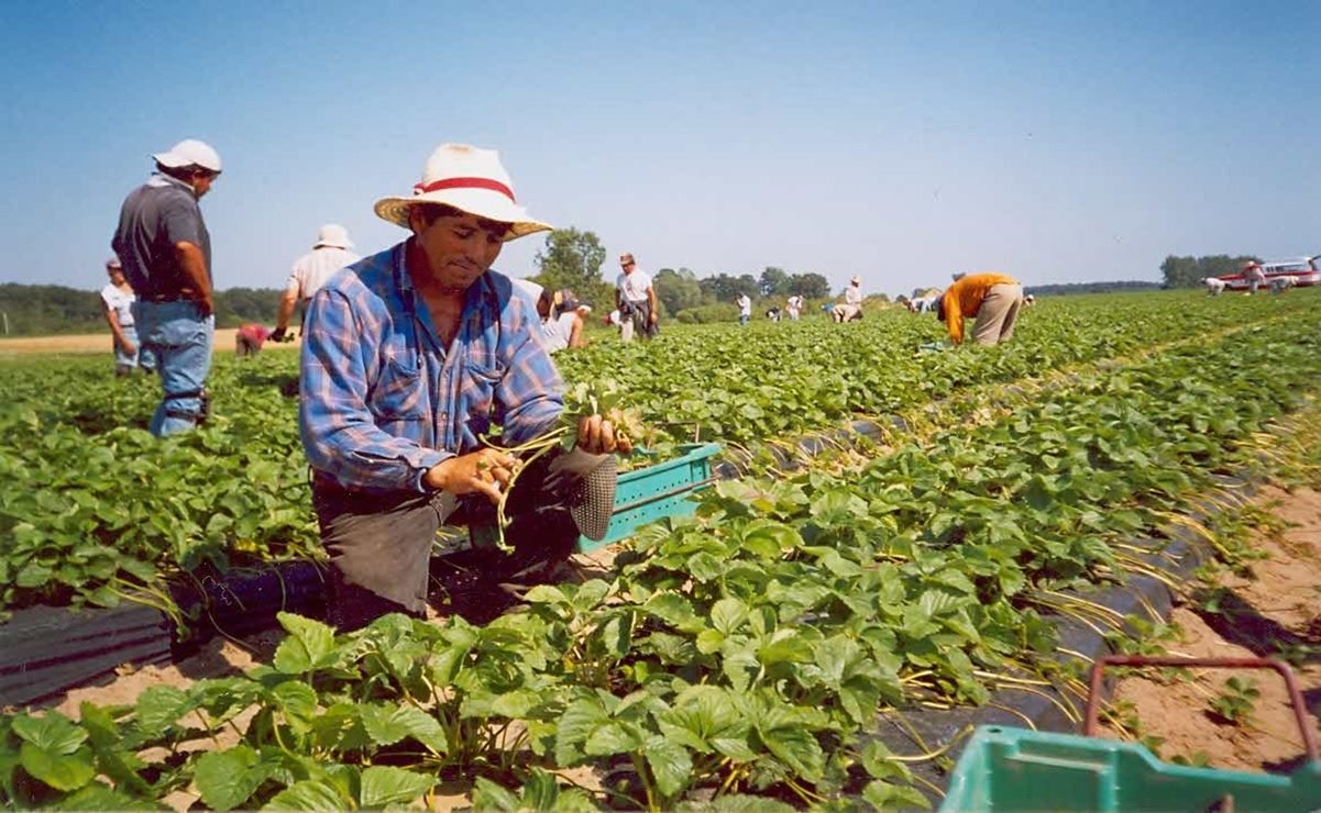 Congreso de Oaxaca “hace historia” al crear figura de diputado migrante; entrará como plurinominal