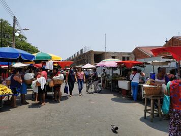Analizan brigadas de salud y pruebas rápidas para detectar brotes de Covid-19 en la Cuenca e Istmo