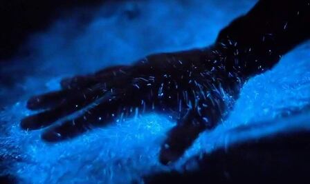 En estas playas de Oaxaca se puede apreciar la bioluminiscencia del agua