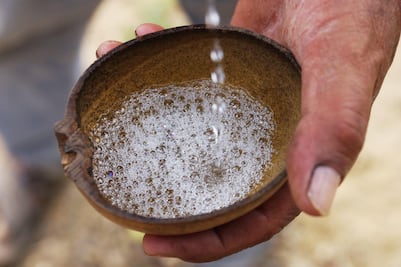 Suspenden ampliación de la Denominación Origen Mezcal a otros estados