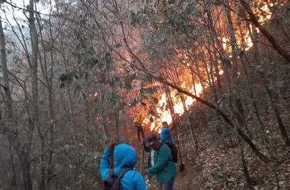 Registra Oaxaca cuatro incendios forestales; suman al menos 30 siniestros en el año