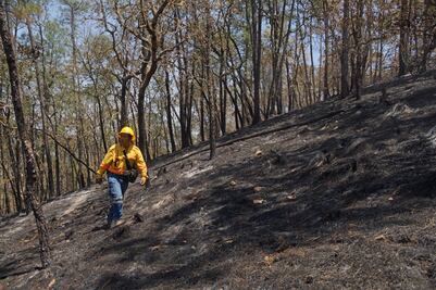 Deja temporada de incendios forestales tres muertos y seis heridos