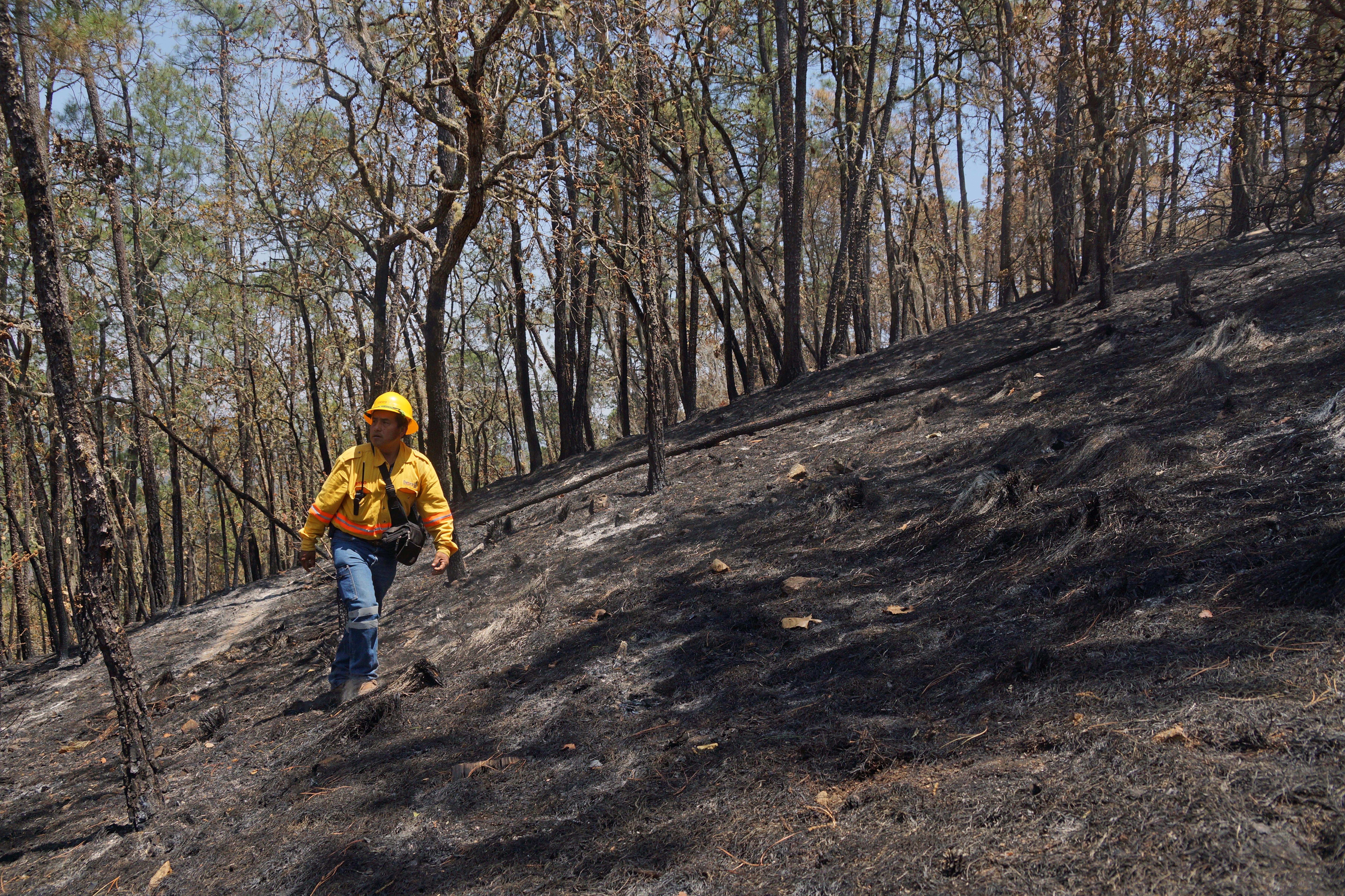 Deja temporada de incendios forestales tres muertos y seis heridos