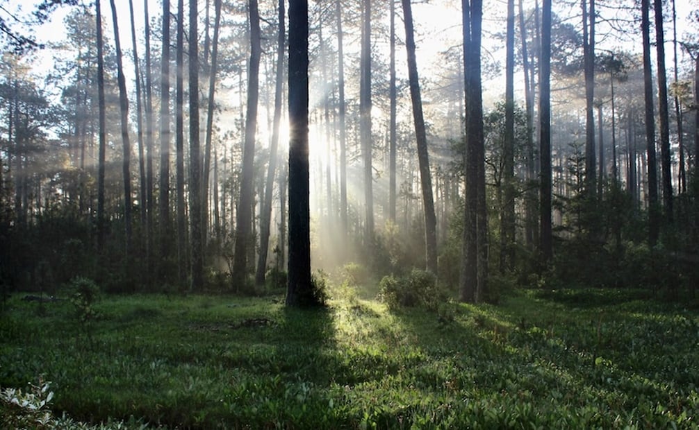 San Isidro Llano El Grande. Foto: ecoturismoenoaxaca.com