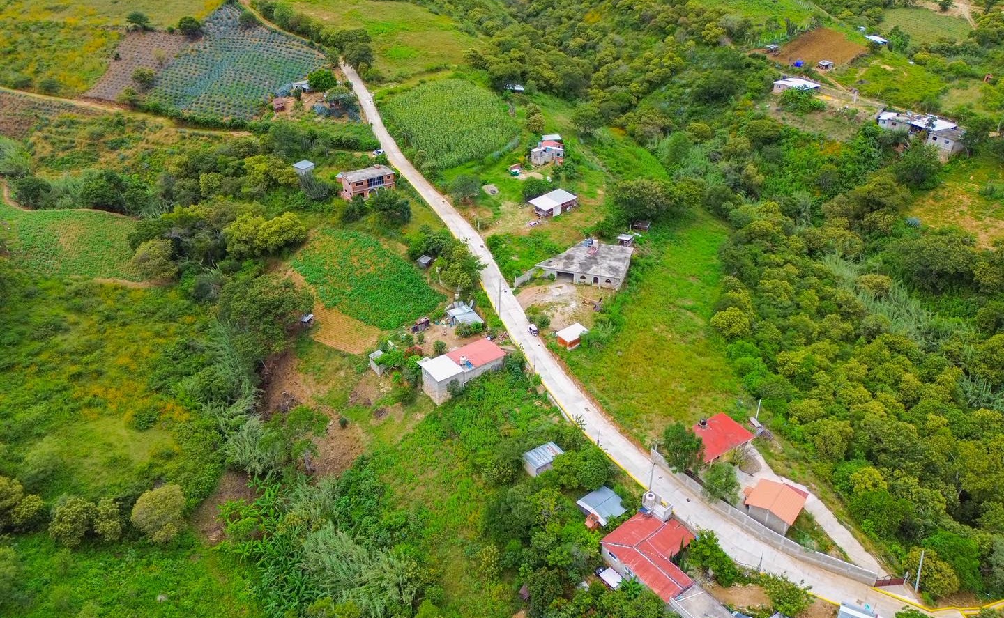 Foto: Facebook Santo Niño de Atocha.