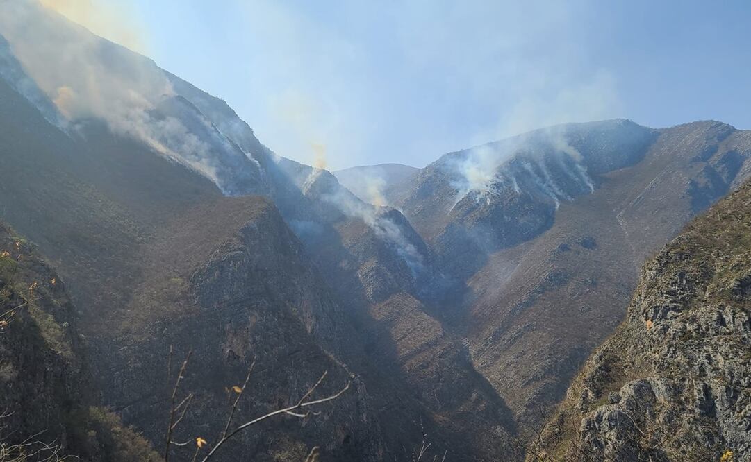 Cumple un mes incendio forestal en la Reserva de Biosfera Tehuacán-Cuicatlán. Foto: Especial