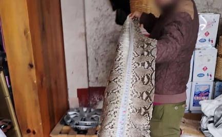 Clausuran huarachería en Yalálag por vender artículos de piel de animales en peligro de extinción 