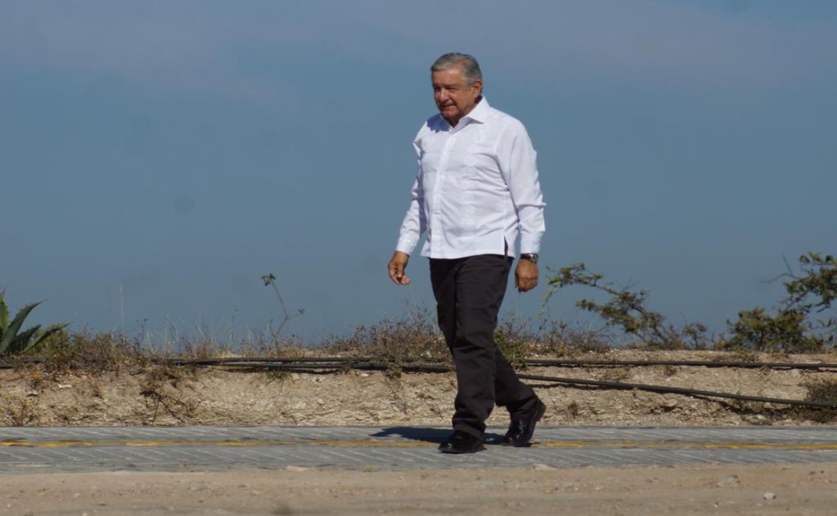 En Oaxaca, se incluirán magueyes para elaboración de mezcal en Sembrando Vida, anuncia AMLO