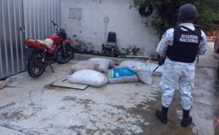 Asegura Profepa más de 18 mil huevos de tortuga en playa de Oaxaca