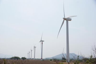 Gana amparo Unión Hidalgo para decidir sobre nuevo proyecto eólico