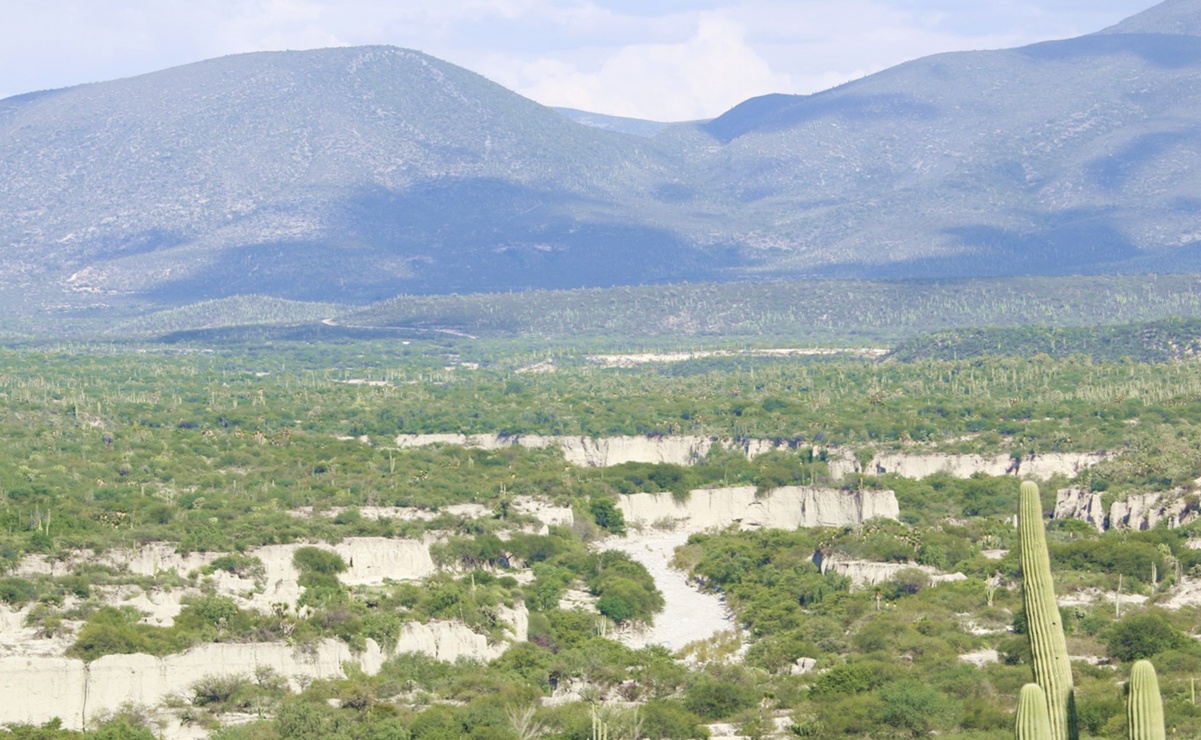 Reserva de la Biósfera Tehuacán-Cuicatlán, bajo amenaza por concesiones mineras. Foto: Juana García