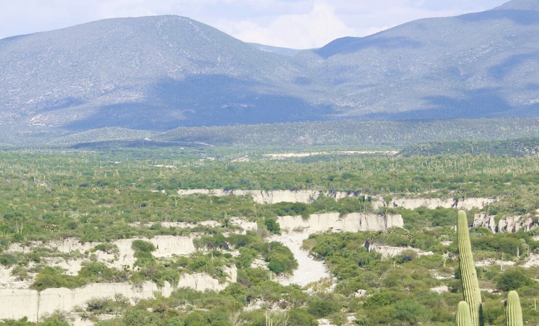 Reserva de la Biósfera Tehuacán-Cuicatlán, bajo amenaza por concesiones mineras. Foto: Juana García