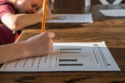 Cómo puedes descargar las boletas de primaria y secundaria en tu celular