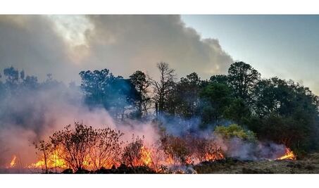 Se duplican incendios forestales en Oaxaca este año