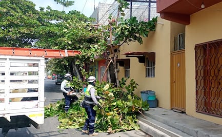 Poblaciones del Istmo de Oaxaca siguen sin energía eléctrica por fuertes vientos del frente frío número 30