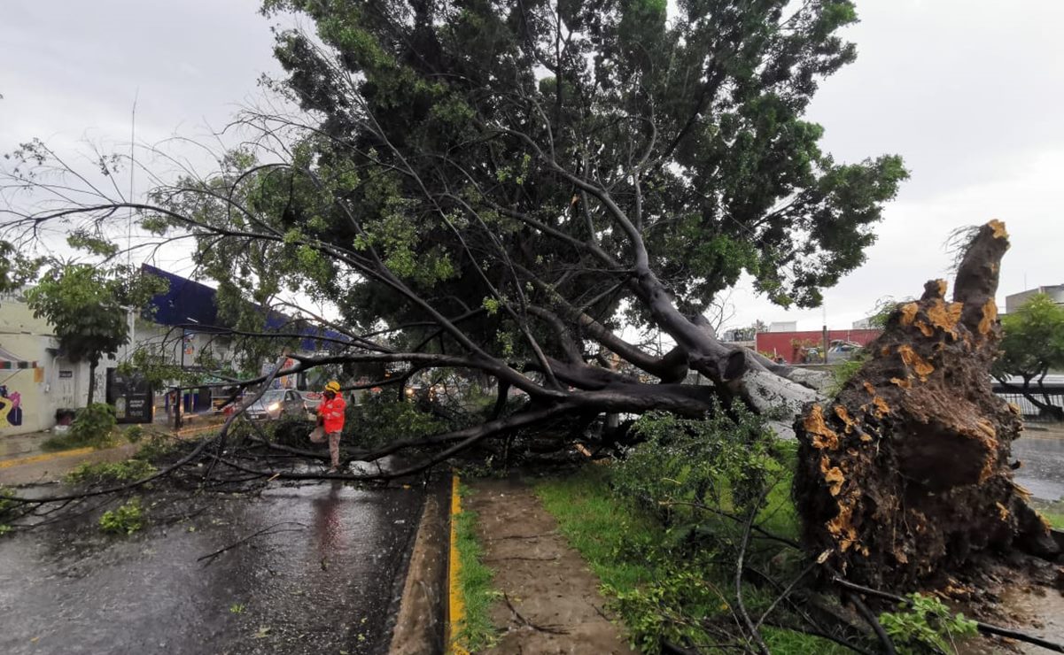 Exhorta Congreso a cada municipio de Oaxaca integrar su coordinación de protección civil
