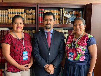 Suspende Morena derechos partidarios a 16 de sus diputados en Oaxaca