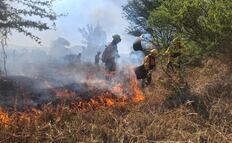 Istmo de Oaxaca, el más afectado por incendios forestales en lo que va de 2026; suman 27 en la entidad 