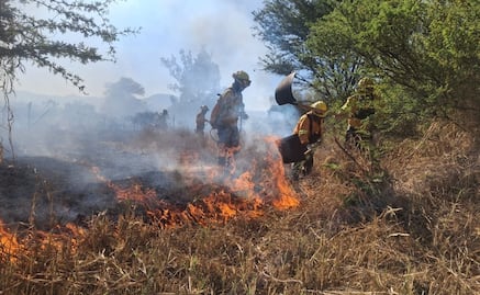 Istmo de Oaxaca, el más afectado por incendios forestales en lo que va de 2026; suman 27 en la entidad 