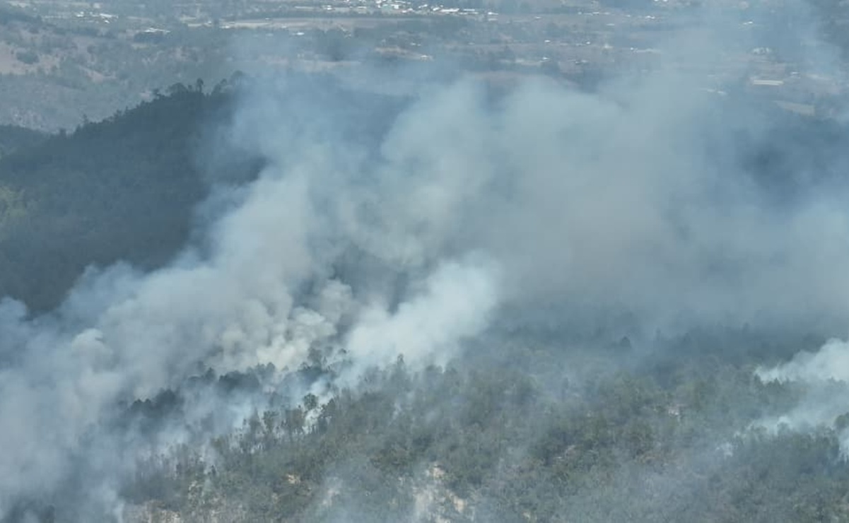 Reportan incendio forestal en zona de conflicto entre Yosoñama y Mixtepec, en Oaxaca; suman 150 incendios en el año