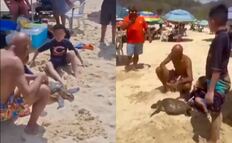 Lo que se sabe del indignante VIDEO del hombre que saca una tortuga del mar en Huatulco para que turistas la manipulen