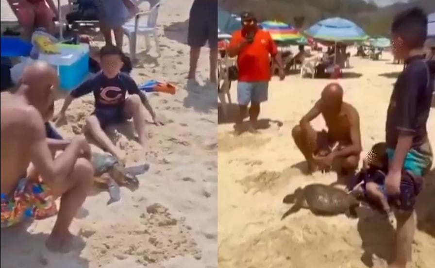 Lo que se sabe del indignante VIDEO del hombre que saca una tortuga del mar en Huatulco para que turistas la manipulen