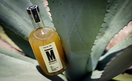 Con una crema de mezcal de sabores frutales, dos jóvenes de Oaxaca seducen a Europa