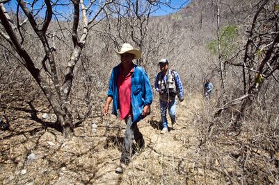 La biodiversidad que se protege en la Mixteca oaxaqueña
