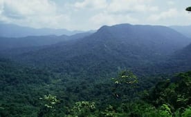Consulta para Ley Indígena es “al vapor”; Comité en Defensa de los Chimalapas demanda debate público