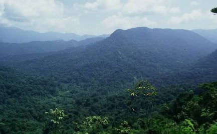 Consulta para Ley Indígena es “al vapor”; Comité en Defensa de los Chimalapas demanda debate público