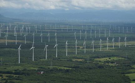Campesinos de Oaxaca que rentan sus tierras, en “alerta legal” tras compra de parques eólicos a Iberdrola